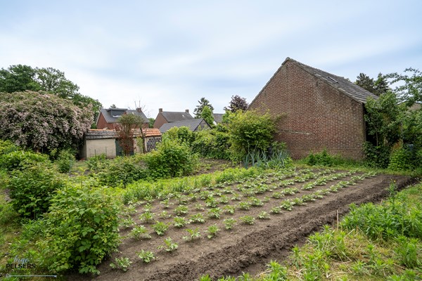 Medium property photo - Burgemeester Janssenstraat 7, 5954 BN Beesel